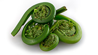 Fiddleheads.