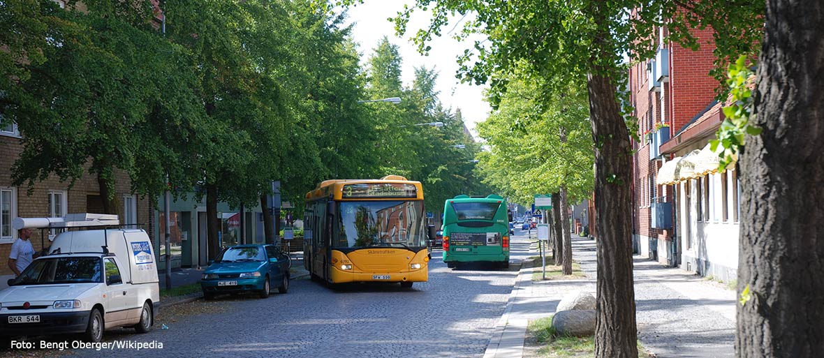 Ginkgoallé i Trelleborg.